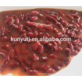 canned red beans in tomato sauce with best price